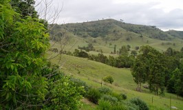 Tryaman Retreat